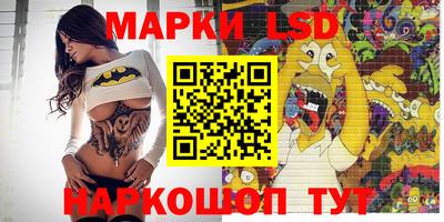 крисы Можга