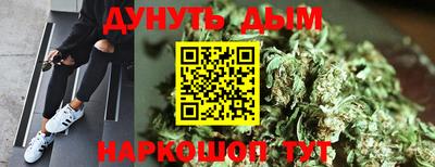 дживик Моздок