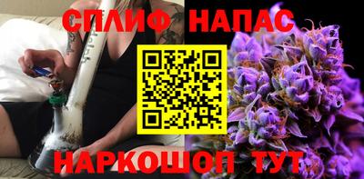 крисы Можга