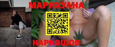крисы Можга