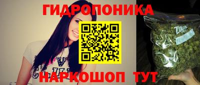 крисы Можга