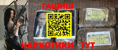 крисы Можга